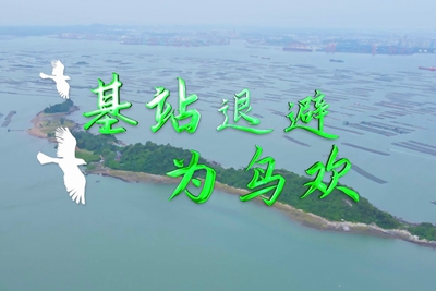 基站退避為鳥歡 3.500_400.jpg