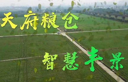 天府糧倉(cāng) 封面.jpg