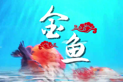 金魚歡躍，流光溢彩！_400.jpg